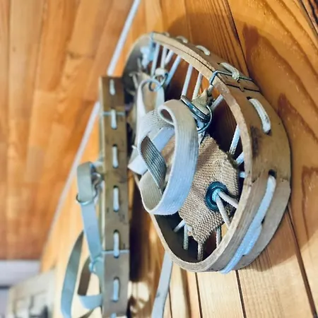 Chalet Chalet La Soldanelle